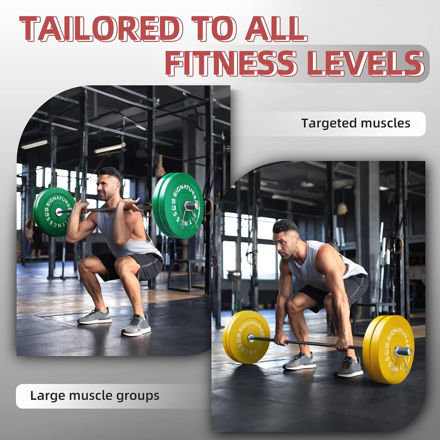image:imageFitvids 2Inch Olympic Rubber Weight Plates Sets Bumper Plates Set Barbell for Strength Training 160370 Lbs Multiple OptionsColored