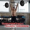 image:imageFitvids 2Inch Olympic Rubber Weight Plates Sets Bumper Plates Set with Barbell for Strength Training