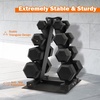 image:imageFitvids AFrame Dumbbell Weight Rack Vertical Storage Rack for Dumbbells Weight Stand Only for Home Gym Space SaverAFrame  4Tier