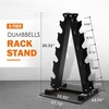 image:imageFitvids AFrame Dumbbell Weight Rack Vertical Storage Rack for Dumbbells Weight Stand Only for Home Gym Space SaverAFrame  5Tier rack only
