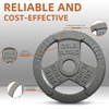 image:imageFitvids 2Inch Olympic Cast Iron Plate Weight Plate for Strength Training Weightlifting and Crossfit Multiple Sizes25LB Set of 2