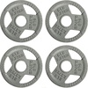 10LB (Set of 4)