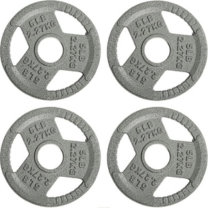 image:imageFitvids 2Inch Olympic Cast Iron Plate Weight Plate for Strength Training Weightlifting and Crossfit Multiple Sizes10LB Set of 4